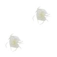 thumbnail image 2 of pitrice 1/2/3/5 Maille Fascinator Femmes Coiffure Prom Maquillage Nuptiale Scène Réglable Performance Photo Coiffe Fille Bande de Cheveux Beige 2PCS, 2 of 6