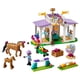 thumbnail image 3 of Set LEGO Friends Clase de Equitacion 41746, 3 of 4