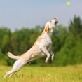 thumbnail image 4 of Juego de 2 lanzadores, 5 pelotas de tenis incluidas, para perros, verde-azul, 50 cm, 4 of 5