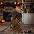 thumbnail image 6 of Halloween Pet Harness and Leash Set for Cats, Cute Bat Wings for Cats & Dogs Halloween Accessory (Black M), 6 of 8