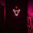 thumbnail image 4 of Shisuyan Bull Head Neon Light for Party Red Plastic USB Battery Powered LED Lamp 6.7 Inches, 4 of 9