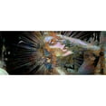 thumbnail image 3 of Bolokofsky, Ronald 18x10 Black Modern Framed Museum Art Print Titled - Memories, 3 of 5
