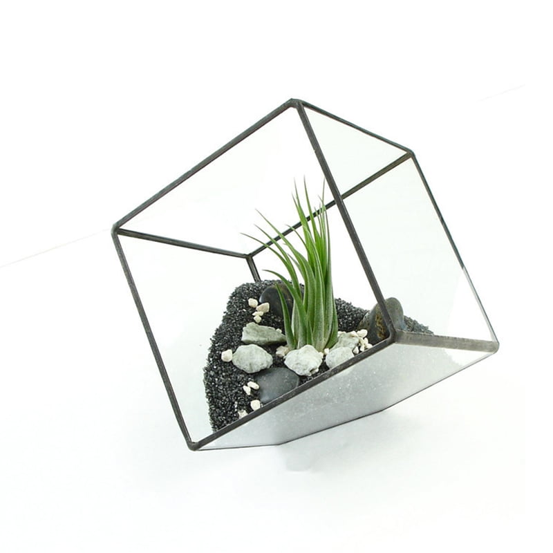 Irregular Glass Geometric Terrarium Box Tabletop Succulent Plant Planter 