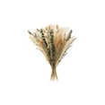 thumbnail image 2 of Dried Pampas Grass Decor Set – Faux Bunny Tails and Pampas Grass Bundle for Boho Home Table Wedding Farmhouse Party Decoration, 2 of 6