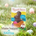 thumbnail image 5 of RUSSELL STOVER Easter Bunny Solid Milk Chocolate Candy Rabbit, 3 oz., 5 of 9