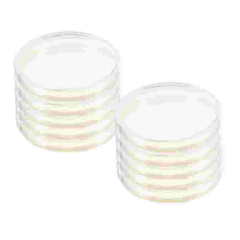 GLEAVI 10 Stuks Bloedagar plaat petrischaaltje agar kweekmedium agar-medium petrischalen met agar petrischalen met deksel labs groeimedium agar GLEAVI 10 Stuks Bloedagar plaat petrischaaltje agar kweekmedium agar-medium petrischalen met agar petrischalen met deksel labs groeimedium agar