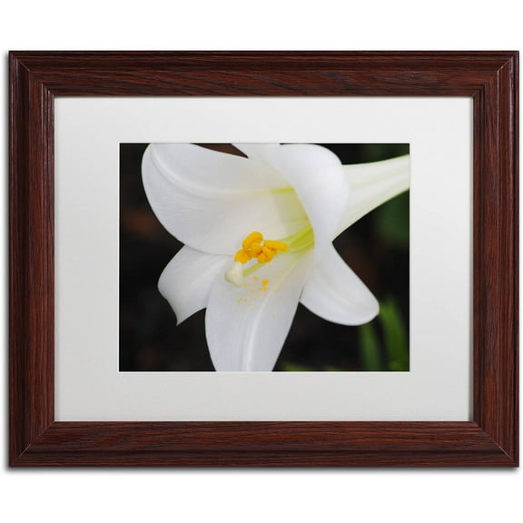 Trademark Fine Art "Easter" Canvas Art by Monica Mize, White Matte, Wood Frame