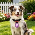 thumbnail image 4 of Halloween Pet Bandana Skeleton Ghost Pumpkin Dog Triangular Scarf Saliva Towel Porch Holiday Outfit Accessories, 4 of 6