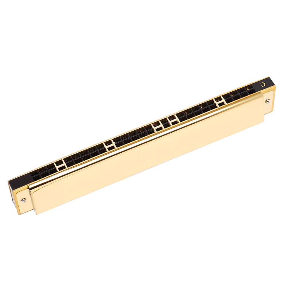 Raindrops 28-Hole Golden Key of C Harmonica Polyphonic Musical Instrument for Beginners, Stainless Steel and ABS Construction
