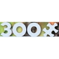 thumbnail image 6 of Ceaco Succulents 300 Piece Interlocking Jigsaw Puzzle, 6 of 8