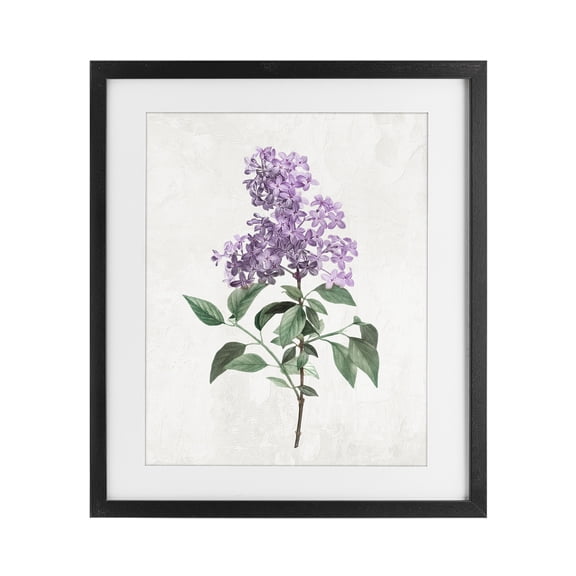 Stupell Industries Lilac Herb Blossoms Black Framed Print Under Glass, design by Kim Allen