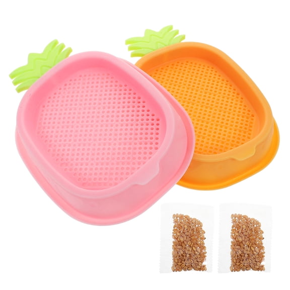 CHICHUMID 2Pcs Indoor Cat Grass Hydroponic Planter Box for Home Use Assorted Color Plastic Tray