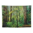 thumbnail image 5 of PRATYUS  Woodland Tapestry, Redwood Trees Northwest Rain Forest Tropical Scenic Wild Nature Branch, Wide Wall Hanging for Bedroom Living Room Dorm, Green and Brown Painting, 5 of 6