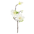 thumbnail image 1 of Ramo de flores de simulación de rama de flor artificial de 3 cabezas con hojas Decoración floral de oficina en casa, blanco Eigraketly HA7281-04B, 1 of 6