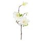 thumbnail image 1 of Ramo de flores de simulación de rama de flor artificial de 3 cabezas con hojas Decoración floral de oficina en casa, blanco sidaley HA7281-04B, 1 of 6