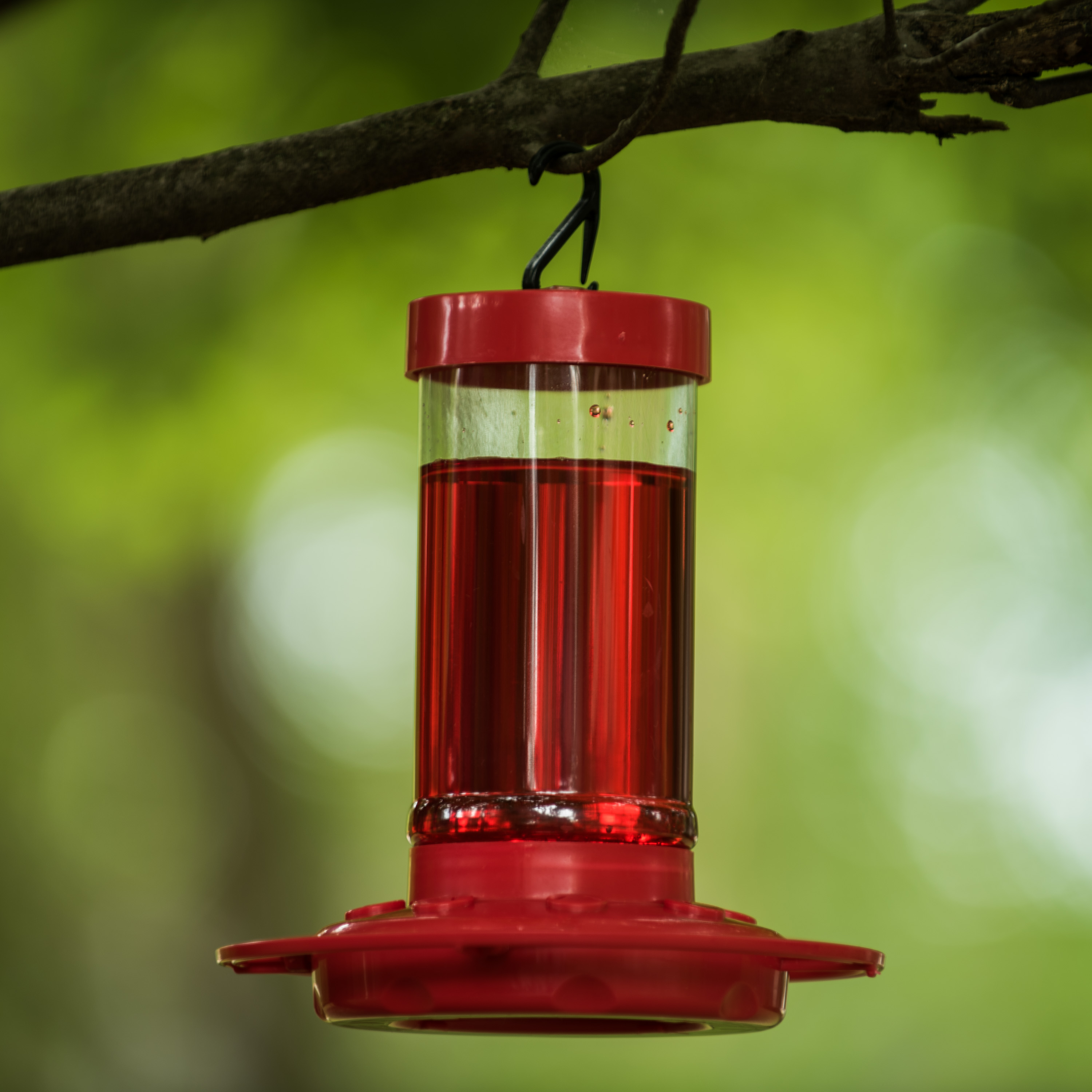 First Nature Hummingbird Feeder, 16 oz, Red, Plastic - image 3 of 13