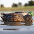 thumbnail image 6 of Avian-X Power Shaker Mallard Hen Motion Duck Decoy Floating Surface Feeder, Multicolor, 6 of 6