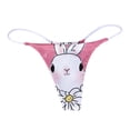 thumbnail image 1 of Gibobby Lencería sexy para mujer Día de San Valentín Ver a través de caliente transparente erótico señora encaje Floral bordado 2 piezas sujetador y bragas mujer ropa int(Rosa caliente, M), 1 of 4