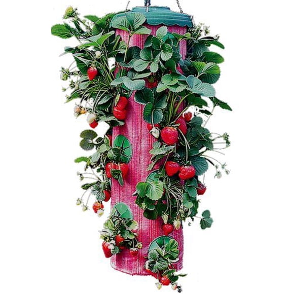 Round Planter Planter Type: Strawberry Planter