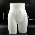 thumbnail image 2 of Female Mannequin Torso Bra Display Mannequin for Countertop Exhibition Shop, 2 of 4