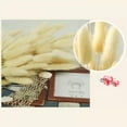 thumbnail image 3 of 50Pcs Dried Pampas Grass Eternal Flower,Dried Rabbit Tail Grass for Wedding Bouquets Decoration,17.7inch, 3 of 7