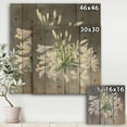thumbnail image 3 of Designart 'Cleome Splash Flower I' Traditional Floral Print on Natural Pine Wood, 3 of 3