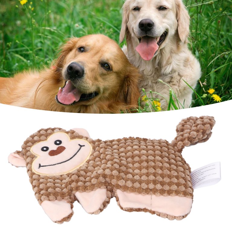 4 Safe Dog Toys and 4 to Avoid!