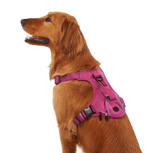 Arnés para Perro KONG Ultra Resistente con Dispensador de Bolsas Pequeño Rosa