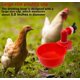 thumbnail image 5 of 6 piezas de suministros automáticos para gallinas, bebederos, vasos de plástico, dispensadores de agua para aves de corral, vasos automáticos de agua potable para pollitos, codornices, patos y pájaros, 5 of 5