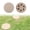 BG2, variant on VGFVFSKGA Pavers for Outside Walkway, Resin Stepping Stones with Detachable Ground Stakes, Stake Down Stepping Stones for Home, Garden, Patio Walkway, Flagstone Pavers, Paving Stones Set of 1
