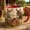 Black, variant on Coffee Mug Donkey Farm Scene Ceramic for Morning Coffee Donkey Lovers
