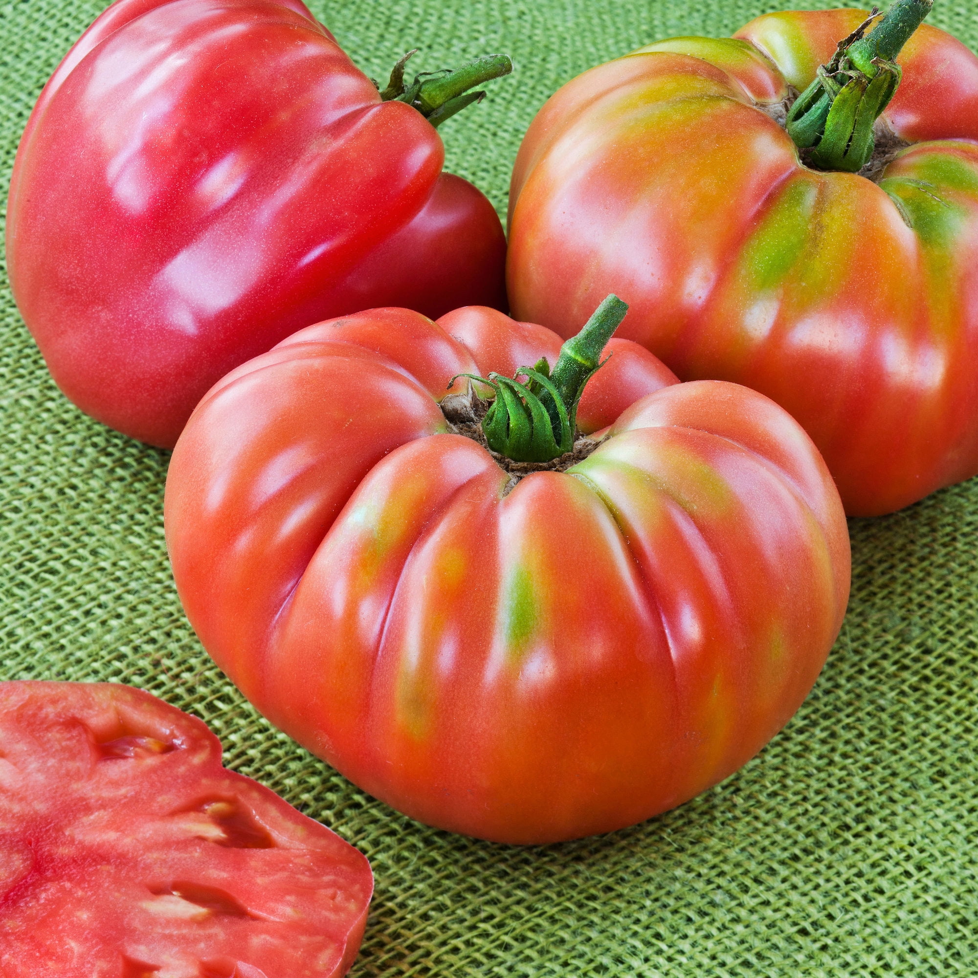 Bonnie Plants German Queen Tomato 19.3 oz. 2-Pack