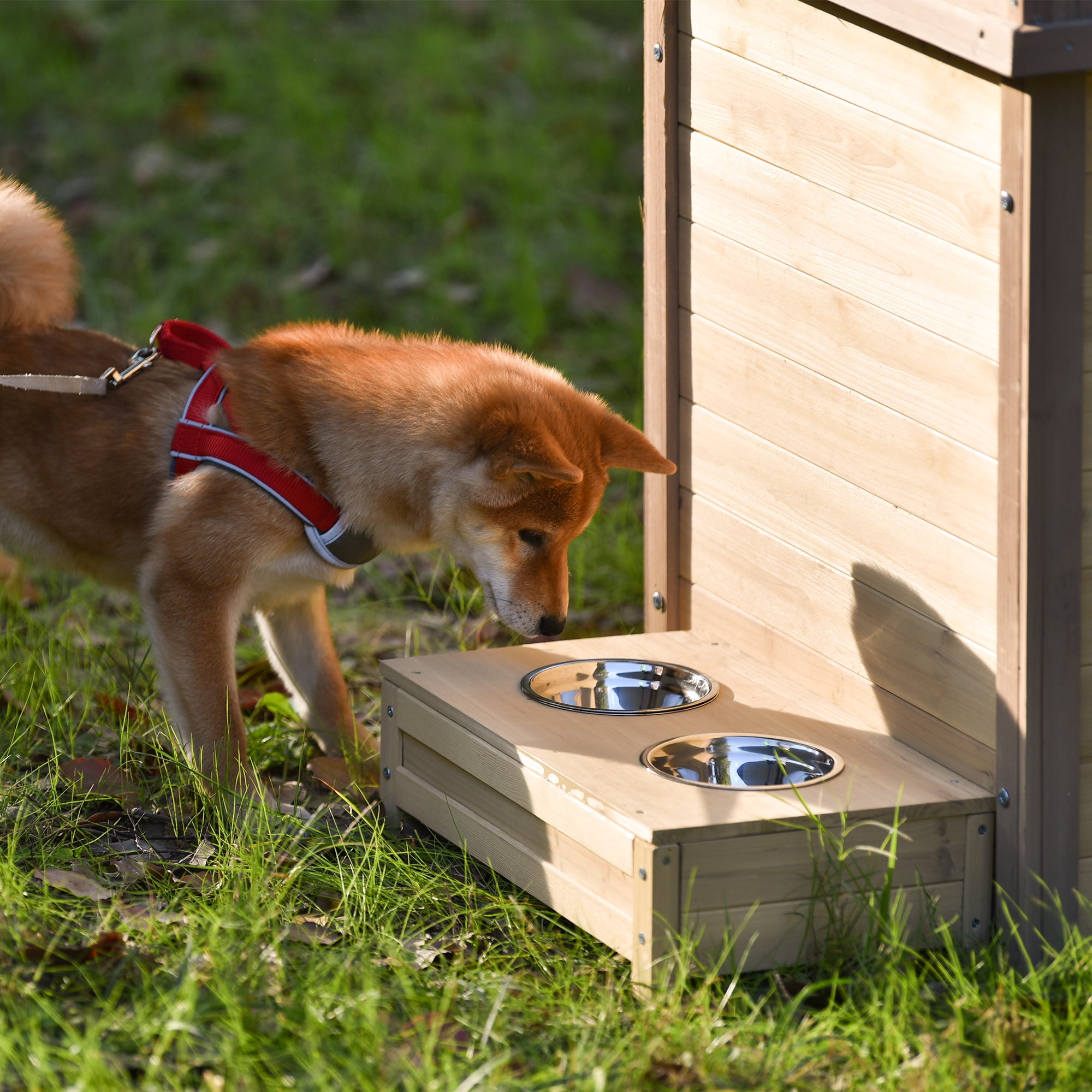 indoor dog house walmart