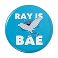thumbnail image 1 of Ray is Bae Funny Humor Pinback Button Pin, 1 of 5