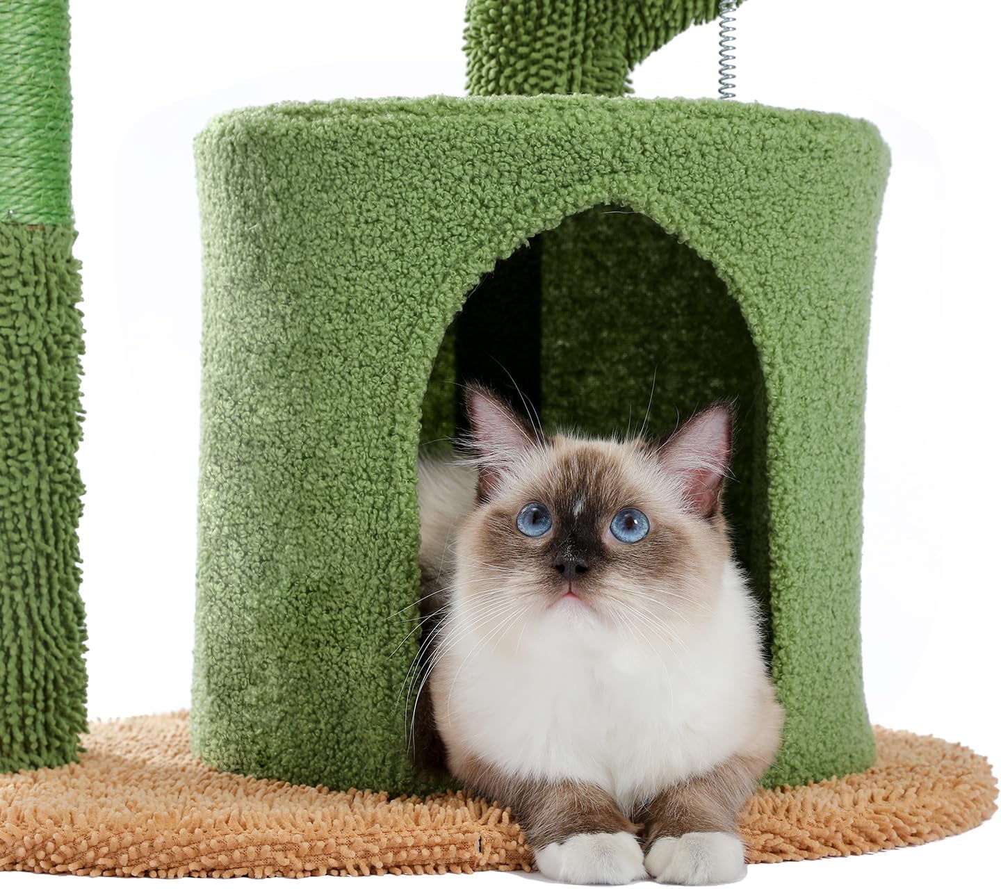41" Tall Cactus Cat Tree Cat Tower with Sisal Scratching Post, Cozy Condo, Plush Perch & Soft Hammock - Ideal Indoor Cat Climbing Stand for Small and Medium Cats Green Brown