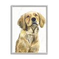 thumbnail image 5 of Stupell Industries Golden Retriever Puppy Portrait Soft Yellow Dog Grey Framed, 16 x 20, Design by George Dyachenko, 5 of 5
