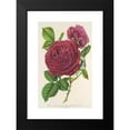 thumbnail image 2 of Charles Antoine Lemaire 11x14 Black Modern Framed Museum Art Print Titled - Rose Triumph of Amiens (1854-1896), 2 of 5