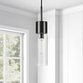 thumbnail image 2 of Evelyn&Zoe Industrial Clear Glass Pendant, 2 of 11