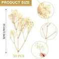 thumbnail image 2 of Dried Babys Breath Flowers,Beige Dried Pressed Flowers Bouquet,50 Pcs 5 in Gypsophila Branches,Dry Babies Flowers Bulk,Long Lasting Flowers for Wedding DIY/Card Making Supplies/Table Vase Decor, 2 of 8