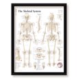 thumbnail image 1 of The Skeletal System Framed Medical Educational Informational Poster Diagram Doctors Office School Classroom 22x28 Inches, 1 of 4