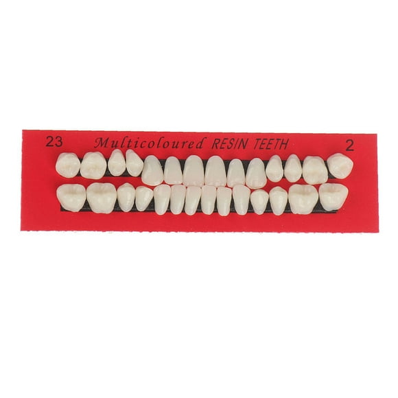 Juego de 28 dentaduras postizas Vogacara de resina