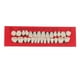 thumbnail image 1 of Vogacara 28 unids/set modelo de de resina dentaduras duraderas postizos universales Resi Type3 NO3, 1 of 6