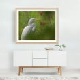 thumbnail image 4 of Great White Egret - Photography Bird Wildlife Nature Animal Scenic Woods Botanical Oak Framed Wall Art Print 16 x 20 inches, 4 of 5