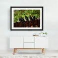 thumbnail image 2 of Washington Barn Swallow Juveniles Anticipating Flight - Ocean Shores Washington Photography Bird Wildlife Nature Animal Woodland Scenic Winter Black Framed Wall Art Print 12 x 18 inches, 2 of 4