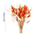 thumbnail image 2 of Cheapark 60 Pieces Bunny Tail Preserved Flowers Dried Flower Stems Decorative Florals for Vase Arrangement Home Decor Gift, 2 of 7