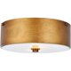 thumbnail image 2 of Lámpara de Techo Elegante Living District Hazen de 2 Luces en Oro Vintage, 2 of 6