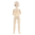 thumbnail image 1 of 28cm Ball Jointed Wink Moveable Figure Doll Body/Head Parts Makeup Accessory Brown Eye Body, 1 of 8