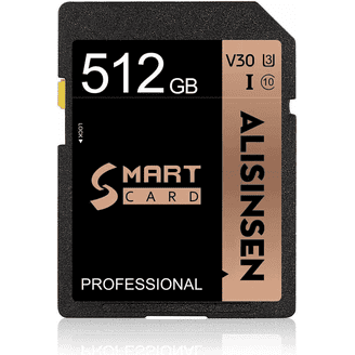 SanDisk MAX ENDURANCE UHS-I Class 10 MicroSDXC 128GB Memory Card