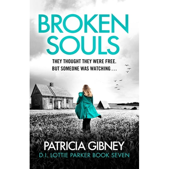 Broken Souls: An Absolutely Addictive Mystery Thriller with a Brilliant Twist, (Paperback)