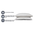 thumbnail image 2 of Pillowtex Conformance Supreme Pillows Similar to Restful Nights - Queen, 2 of 6